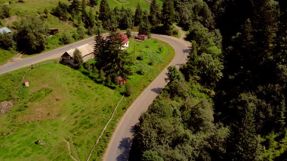 Country Road Forest and Alpine House