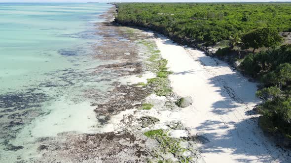 Empty Beach on Zanzibar Island Tanzania Slow Motion