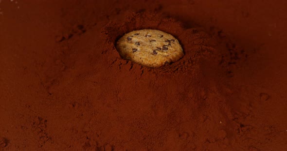 Cookie falling into Black Powder Chocolate, Slow Motion 4K