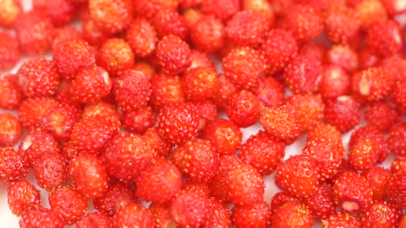 Close-up shot of freshly harvested red ripe strawberries rotate.