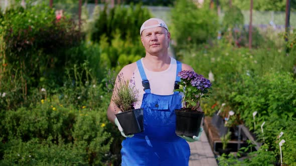 Portrait, a Man Gardener Holding Blooming Lavender and Hydrangea in Flowerpots in His Hands, Against