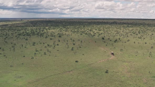 Wildlife holiday in Laikipia, Kenya. Aerial drove view of 4 wheel drive driving through African sava