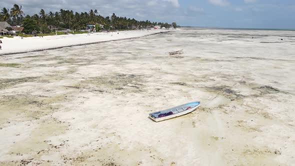 Shore of Zanzibar Island Tanzania at Low Tide