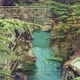 Bhagirathi river flowing mid of two huge rocks lying above small bridge surrounded by pine trees - VideoHive Item for Sale