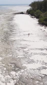 Vertical Video of Low Tide in the Ocean Near the Coast of Zanzibar Tanzania