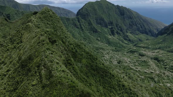 Drone flies over overgrown mountain range on Maui, aerial footage, Hawaii, USA