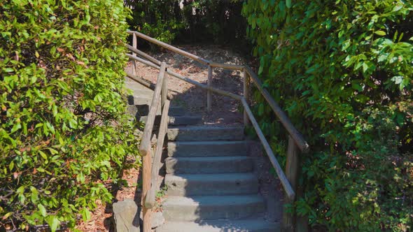 Old Stairway with Wooden Handrails Climbs Past Green Plants