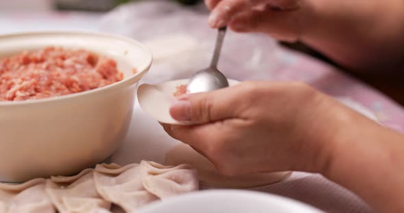 Making meat dumpling at home