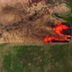 Prescribed burns - VideoHive Item for Sale