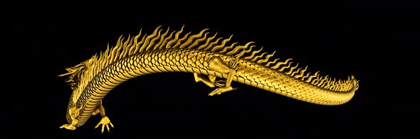 Asia golden dragon alpha