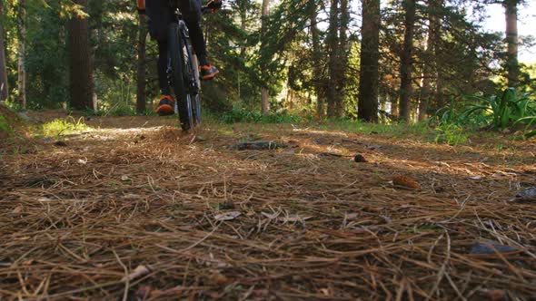 Mountain biking couple riding in the forest on a sunny day