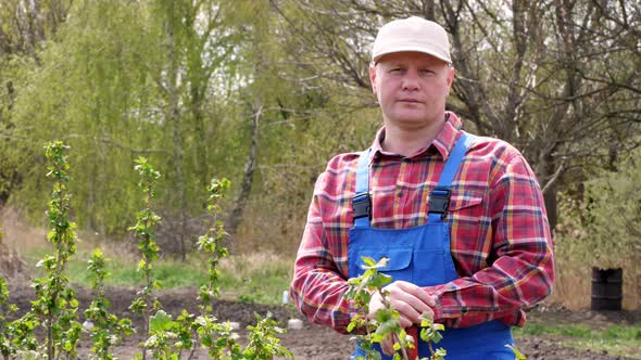 Portrait of Male Farmer in Plaid Shirt and Garden Overalls Standing in Vegetable Garden . Spring