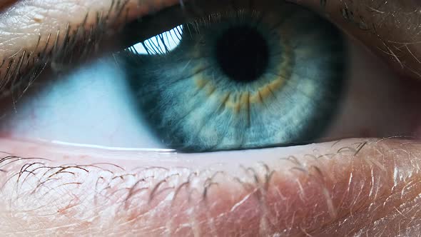 Beautiful Blue Woman Eye, Extreme Close-up. Sight. Detail View Young Girl's Eye