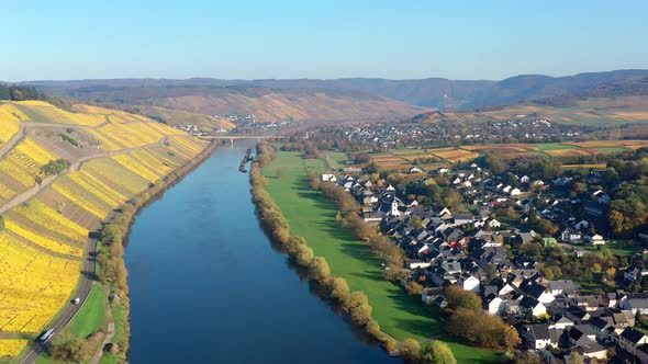 kesten and vineyards in autumn at Moselle river, Germany