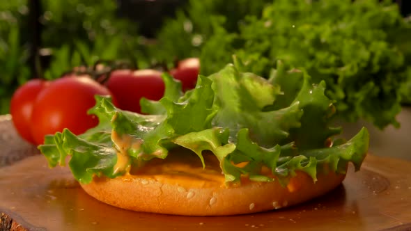 Leaf of Lettuce Falls Onto a Bun with Sauce