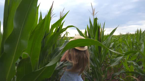 Beautiful Little Girl in Straw Hat Running Through Corn Field, Turning To Camera and Smiling