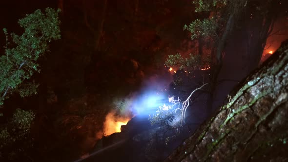 Extinguishing Fire in Forest at Night