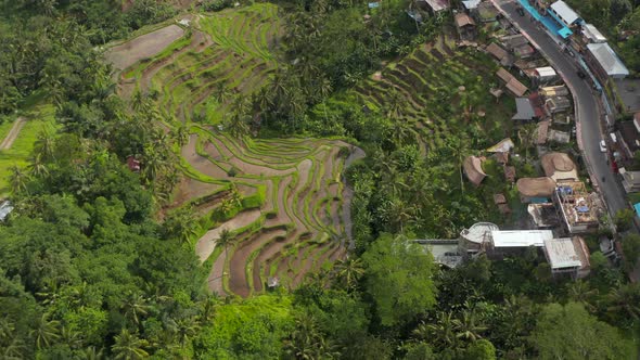 Close Up Aerial Overhead View of a Terraced Irrigated Rice Field Farms on the Side of the Mountain