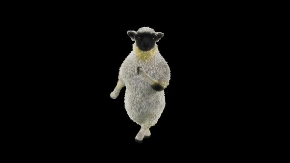 22 Sheep Dancing HD