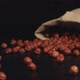 Cloth bag falls on a table and a hazelnuts scatter out it - VideoHive Item for Sale