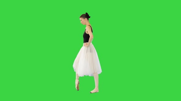 Young Professional Ballerina Making Warmup on a Green Screen Chroma Key