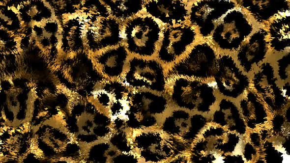 Leopard Pattern