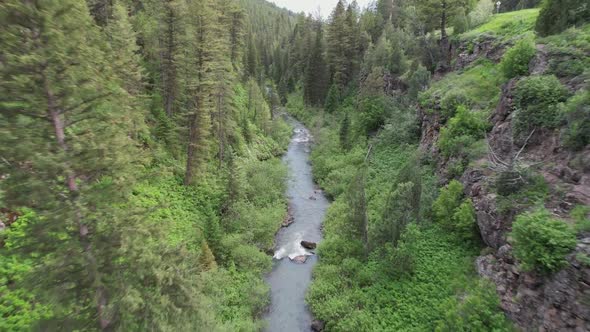 Drone flies down towards a creek running down a ravine.  Pine trees surround both sides of the creek