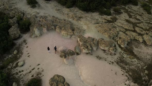 The Natural Phenomenon Stone Mushrooms 