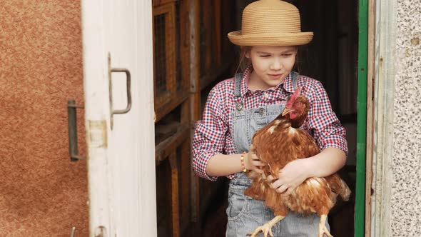 a Little Girl Holds a Red Hen in a Chicken Coop