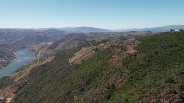 Flying Above Mountain Vineyards and River Douro