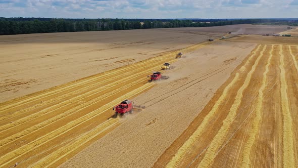 Beautiful view of the yellow field with harvester machinery