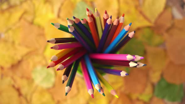 Colored pencils and markers in a glass rotate against the background of yellow autumn leaves.