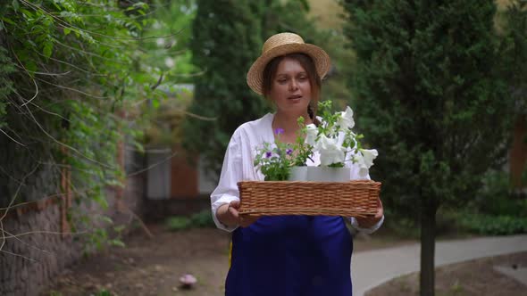 Dolly Shot of Confident Satisfied Woman in Straw Hat Walking with Flower Pots in Slow Motion on