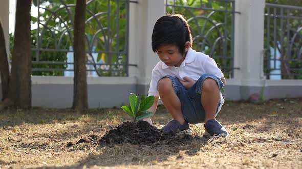 Cute Asian Child Planting Young Tree On The Black Soil 