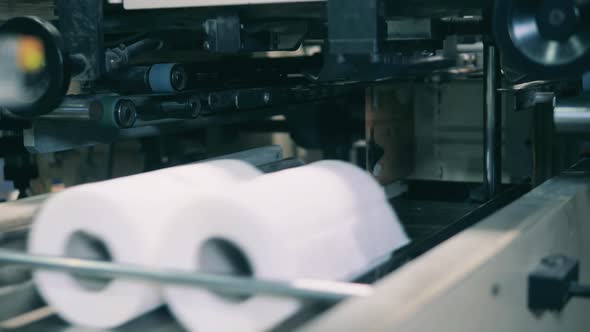 Rolls of Toilet Paper Moving Up Automatically at a Paper Factory