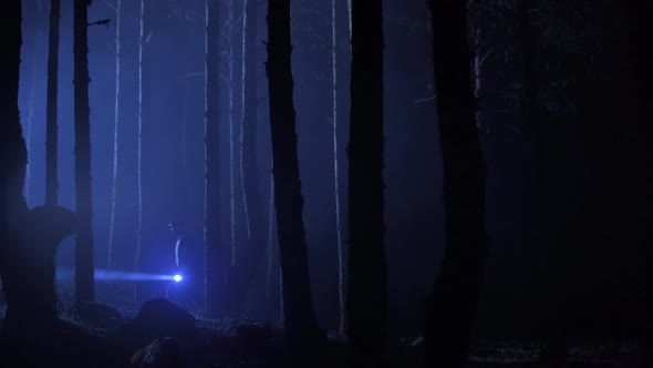 Man walking with lantern at night in foggy forest.