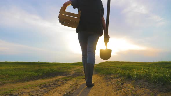 Woman Farmer Holding Shovel in His Hand Walking Across Green Field a Pile of Dirt Soil