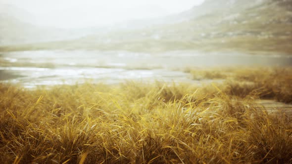 Grassland on Mountains in Autumn