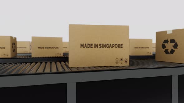 Boxes with MADE IN Singapore Text on Conveyor