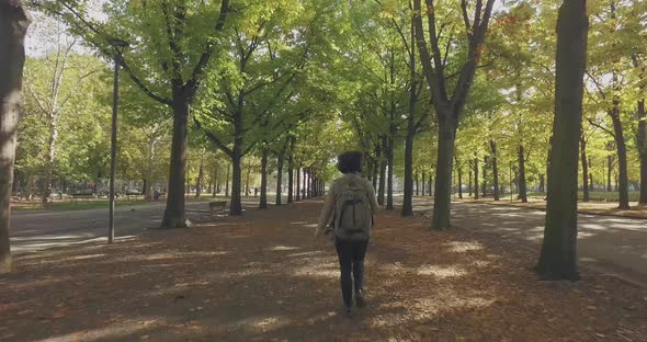 Young Woman Walking Under Trees on Walkway and Lawn with Leafs in Urban City Park on a Summer Sunny