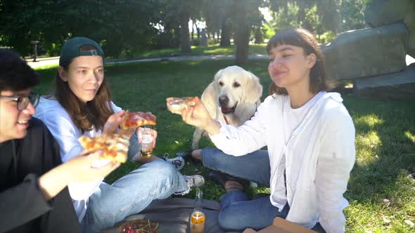 Company of Beautiful Young People and Dog Having an Outdoor Lunch