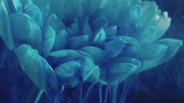 Flower Water Art Blue Daisy Petals