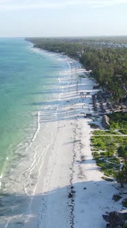 Vertical Video of the Ocean Near the Coast of Zanzibar Tanzania