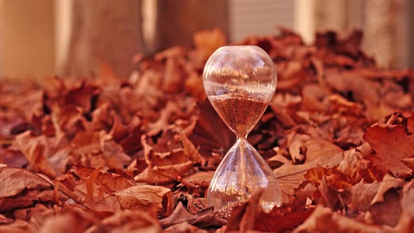 Sandglass Filled with Golden Sand Stands Among Leaves Heap