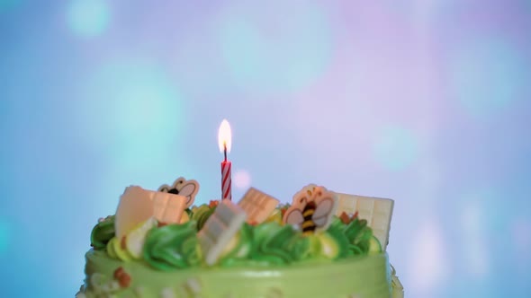 Birthday cake with burning candle for birthday is Rotating on Stand on Table on Bokeh background