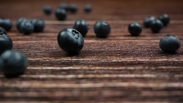 Blueberries Rolling on the Dark Wooden Background and Stopping. CLOSEUP