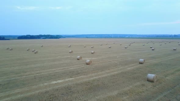 Farm Field With Hay Bales