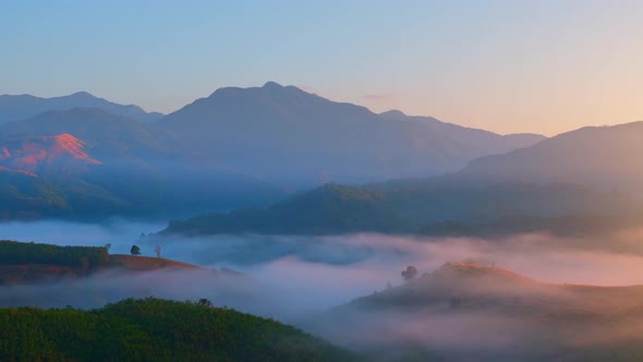 4K : Timelapse Beautiful green nature and mist foggy flows.