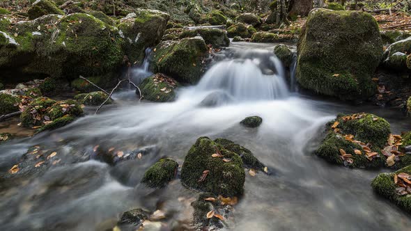 River In The Forest At Autumn