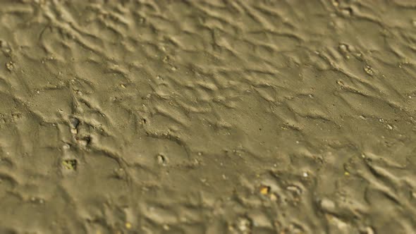 Lines in the Sand of a Beach